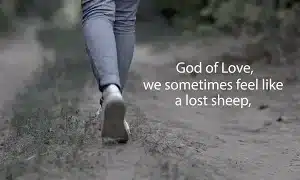 Lost Sheep