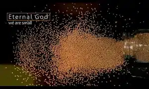 Mustard Seed Prayer