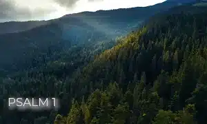 Psalm 1A