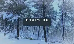 Psalm 36
