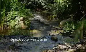 Speak Your Word
