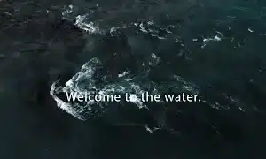 Jesus Baptism Transition