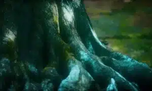 Tree trunk