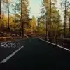 Mountain forest road