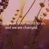 You speak your word to us and we are changed with sunset in background