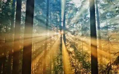 Reclaiming Wonder: An Invitation to Natural Spirituality