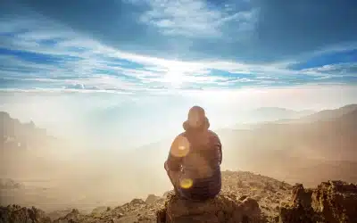 From Crisis to Culture: Building Support for Visionary Leadership