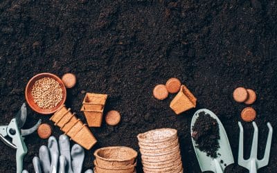 Why Intentional Theological and Spiritual Culture is Critical