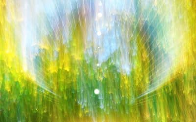 The Power of Contemplative Action